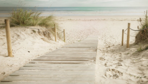 Read more about the article Blog